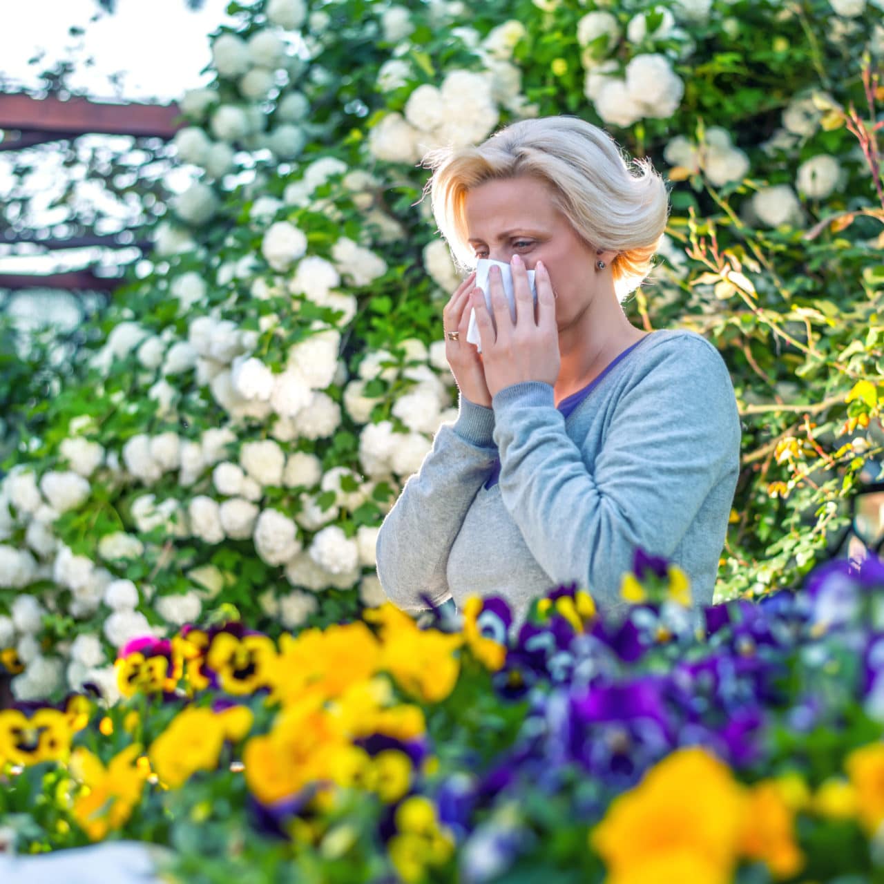 Allergy Symptoms From Plants and Grasses